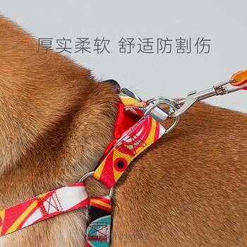 New National trend dog leash dog chain dog leash medium and small dog harness pet supplies