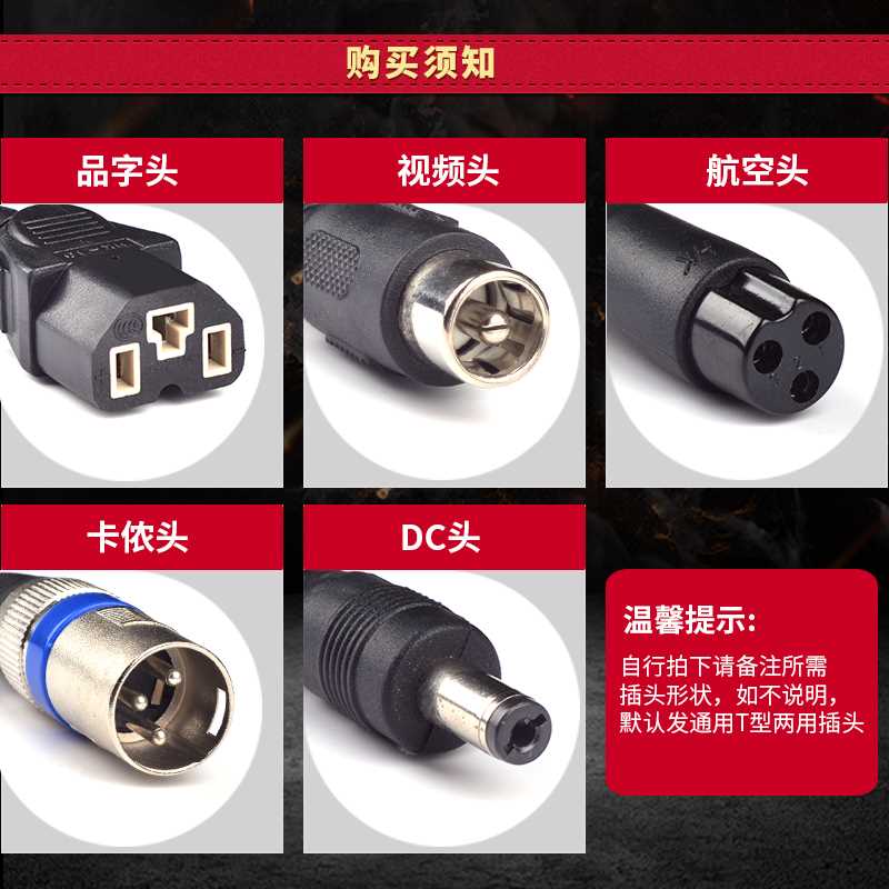 适用新日锂电池充电器48伏3A电车锂离子54.6V2A锂电电动车60V专用 - 图1