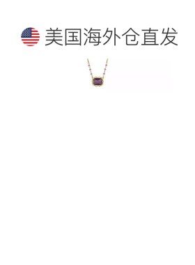 【美国直邮】2028（饰品）  项链及吊坠