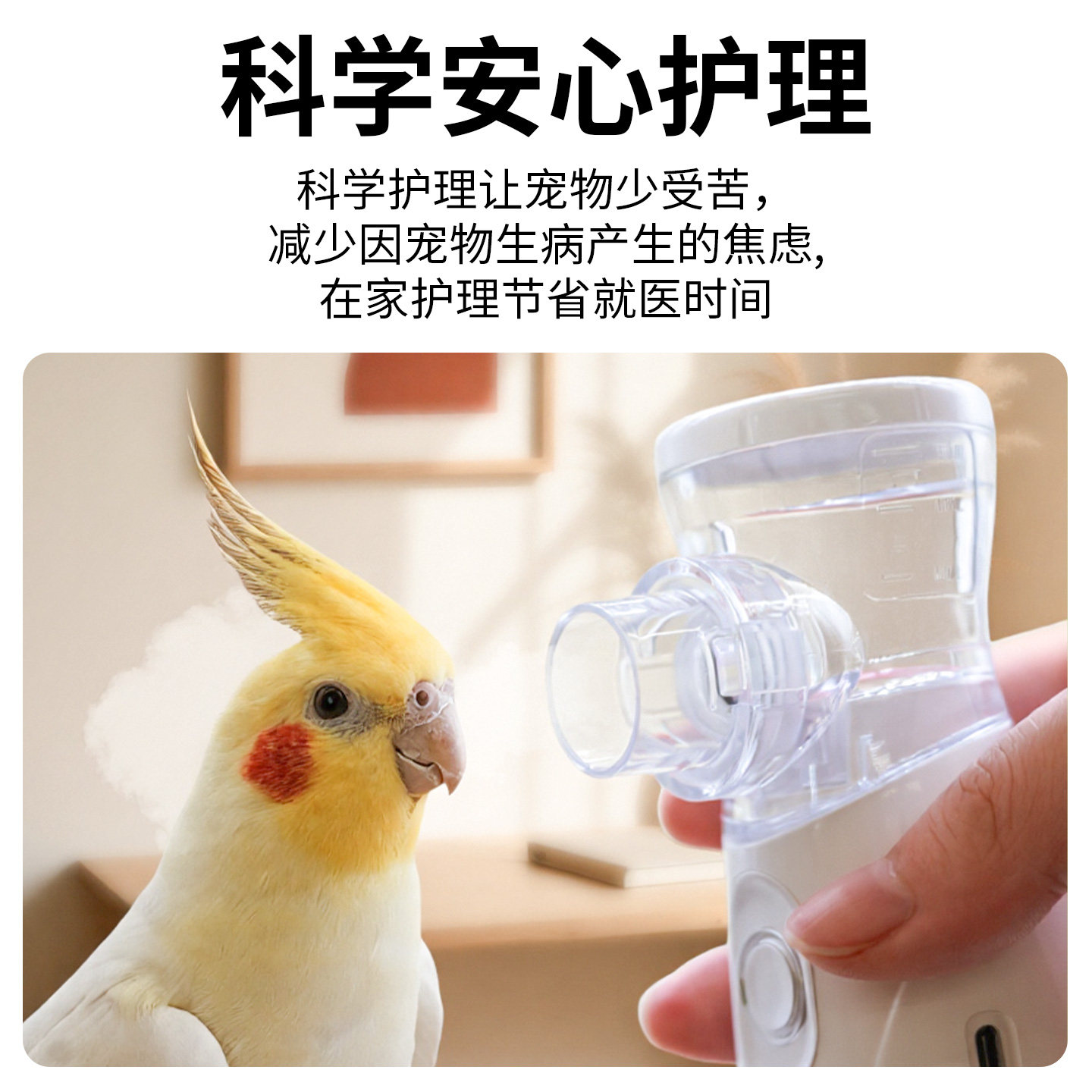 千鹦鸟舍宠物鸟猫狗感冒治疗雾化箱肺炎气囊炎鼻炎鹦鹉专用喷雾器,淘宝优惠券,粉丝福利购,淘宝优惠卷