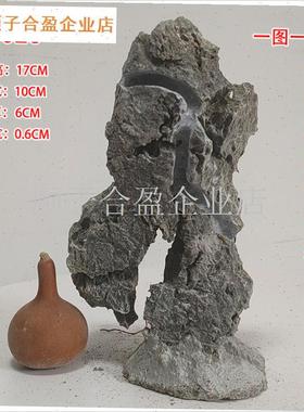 开槽附树石天然抱树石家居装饰品办G公室桌面摆件鱼缸装饰绿植花.