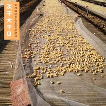 Dry Bay Big Name Yao Post Fujian Dry Goods Ready-to-eat Fishing House Self-Tanning bay scallop dried seafood cooking porridge 250g