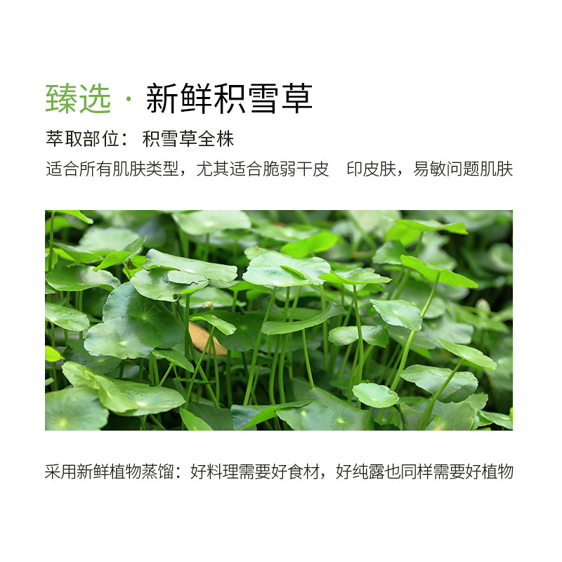 积雪草舒缓痘肌精粹水敏感肌爽肤水 萃柏氏化妆水/爽肤水