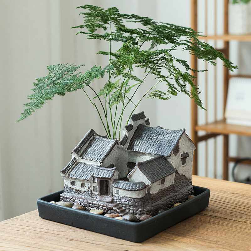 房间内植物 新人首单立减十元 21年9月 淘宝海外