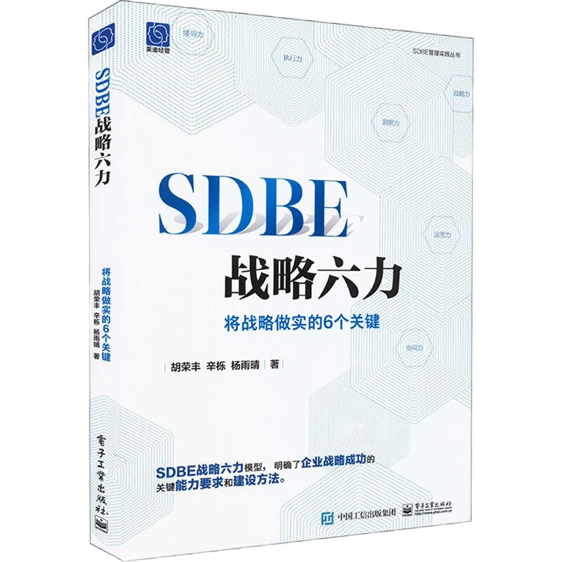 SDBE战略和BLM战略管理5册：SDBE战略六力：将战略做实的6个关键+SDBE战略与洞察+SDBE卓越运营+业务增长战略+从战略到执行