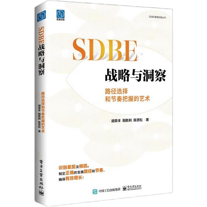 SDBE战略和BLM战略管理5册：SDBE战略六力：将战略做实的6个关键+SDBE战略与洞察+SDBE卓越运营+业务增长战略+从战略到执行
