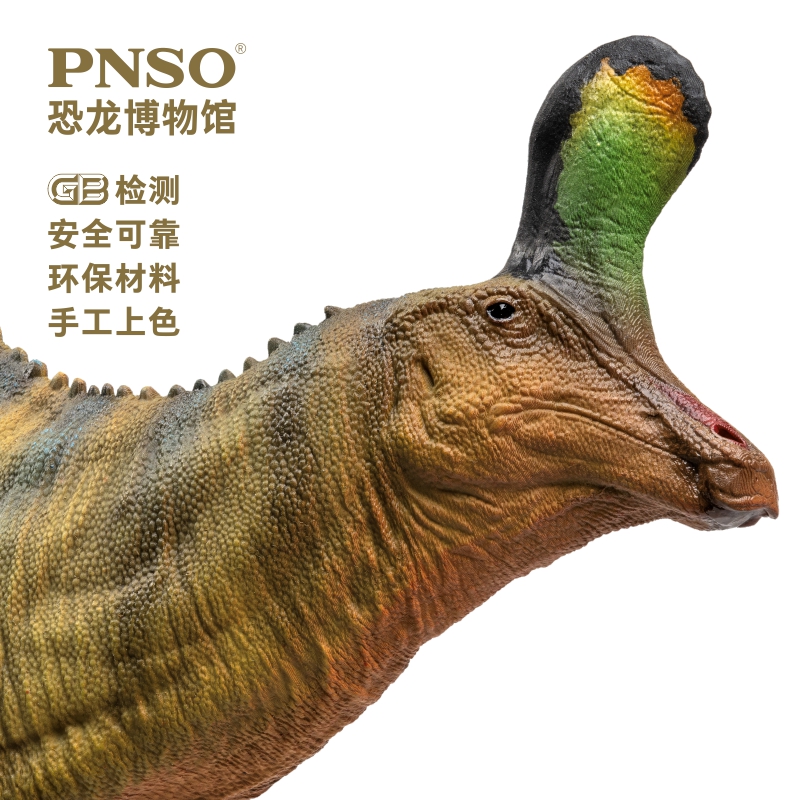 PNSO恐龙博物馆青岛龙小琴1:35科学艺术模型-图1