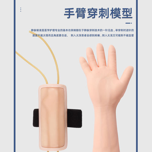 弘模手臂静脉穿刺输液 注射训练手臂模型 打针抽血模具 仿真人体 手臂输液 护士抽血训练模拟手臂模型 - 图0