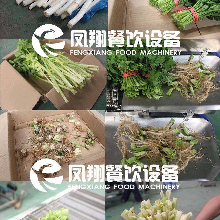 工厂直销蔬菜切根机商用香菜菠菜大葱根须自动去根机无刀化设备,淘宝优惠券,粉丝福利购,淘宝优惠卷