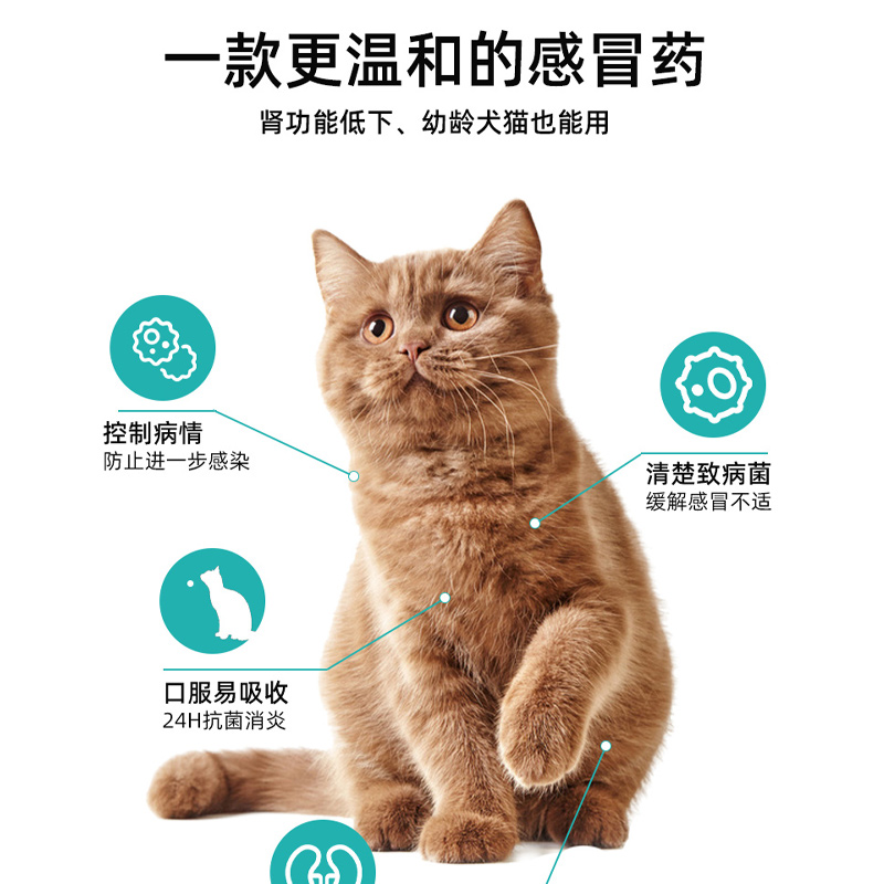 宠物大本营猫咪感冒药猫鼻支治疗药打喷嚏流鼻涕消炎片猫狗犬通用-图2