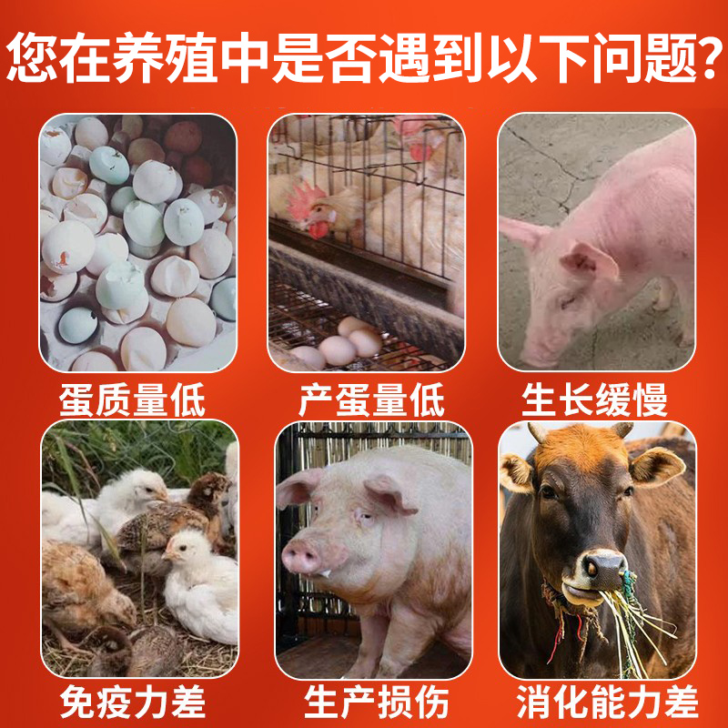 鱼肝油畜高钙鸡鸭鹅禽用猪牛羊狗犬鸽用添加剂电解多维兽用维生素 - 图0