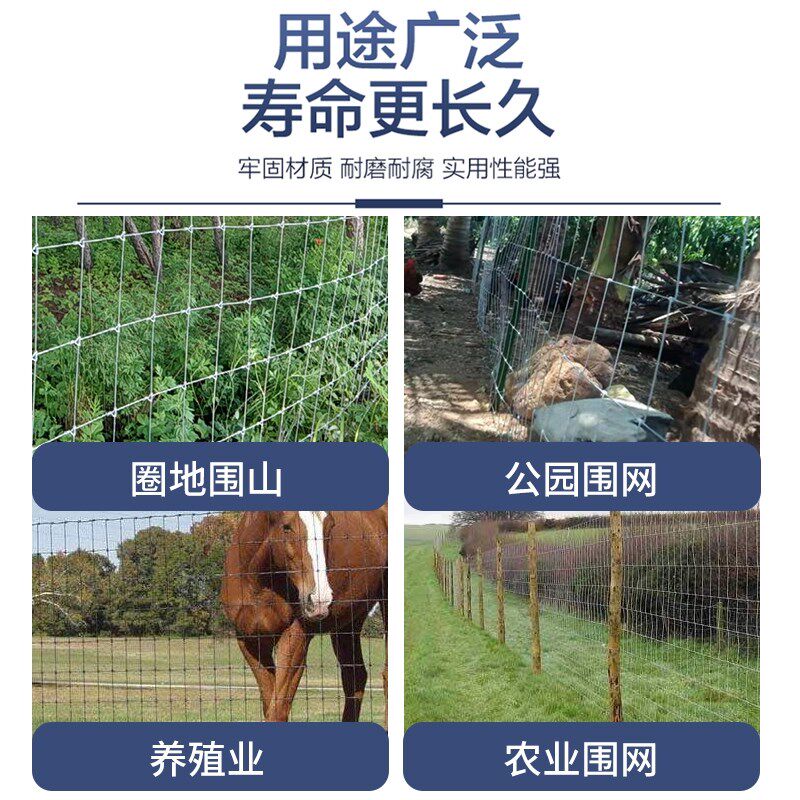  法嘉维呼吸器