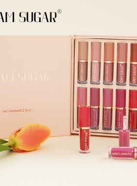 SAMSUGAR 12 color book lipstick set matte pearl non stick c