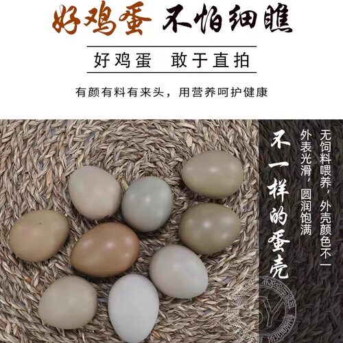 野鸡蛋七彩山鸡蛋农村自养食用营养宝宝辅食蛋新鲜当天捡鸡蛋一箱 - 图2