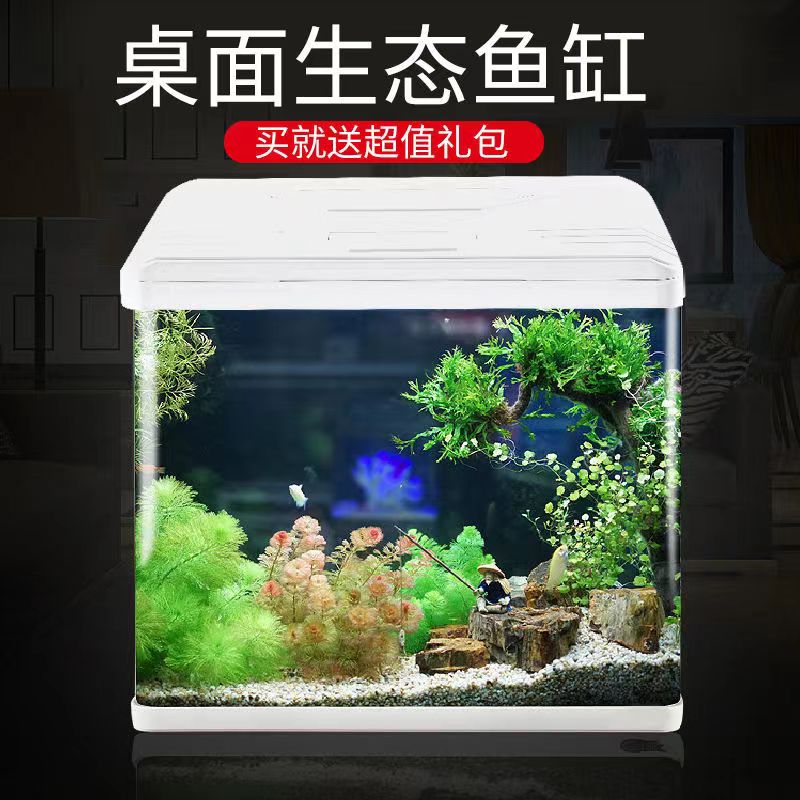 客厅玻璃鱼缸新款家用小型水族箱免换水生态自循环高清桌面金鱼缸-图2