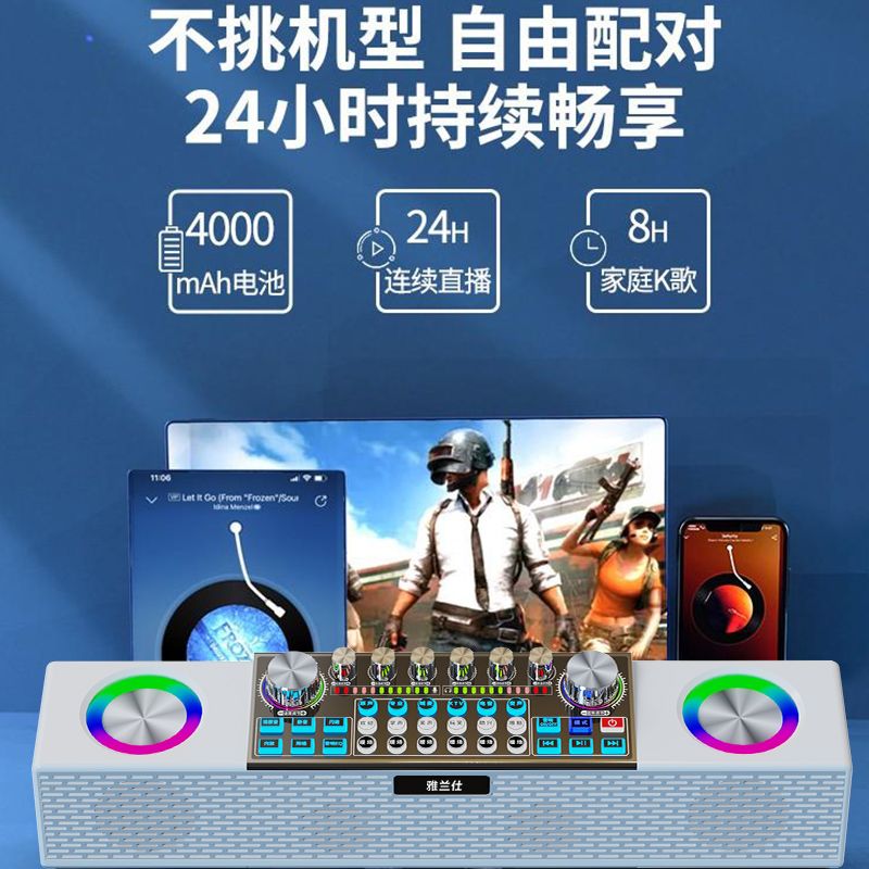 EARISE/雅兰仕SY6专业可直播唱歌室内户外KTV声卡音响一体机套装 - 图3