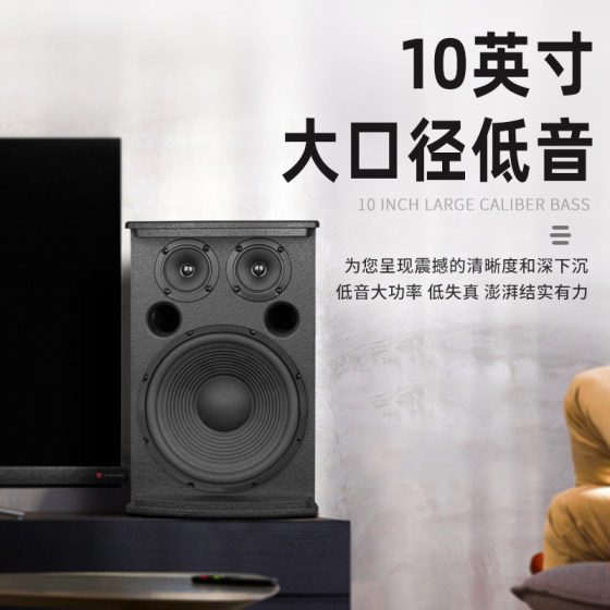 得普声D200专业家庭KTV音响10英寸音箱家用会议舞台演出K歌校园