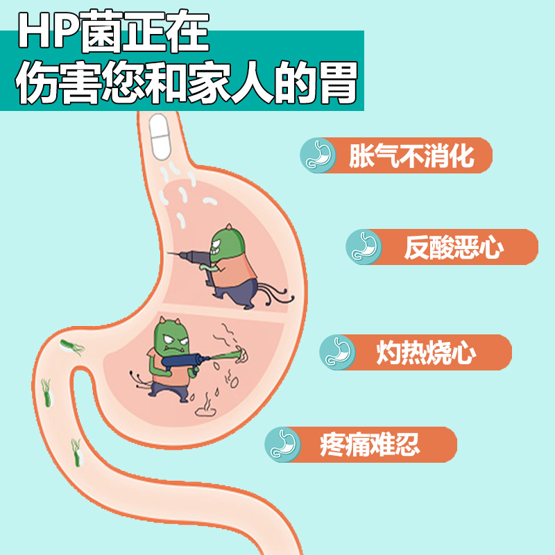 西班牙DIGAPLUS膳贝佳益生菌pylopass罗伊氏乳杆菌养护肠胃高端品 - 图0