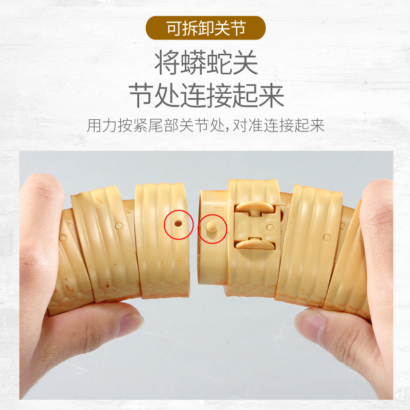 儿童仿真眼镜蛇昆虫网红遥控玩具 奇森玩具创意/整蛊玩具