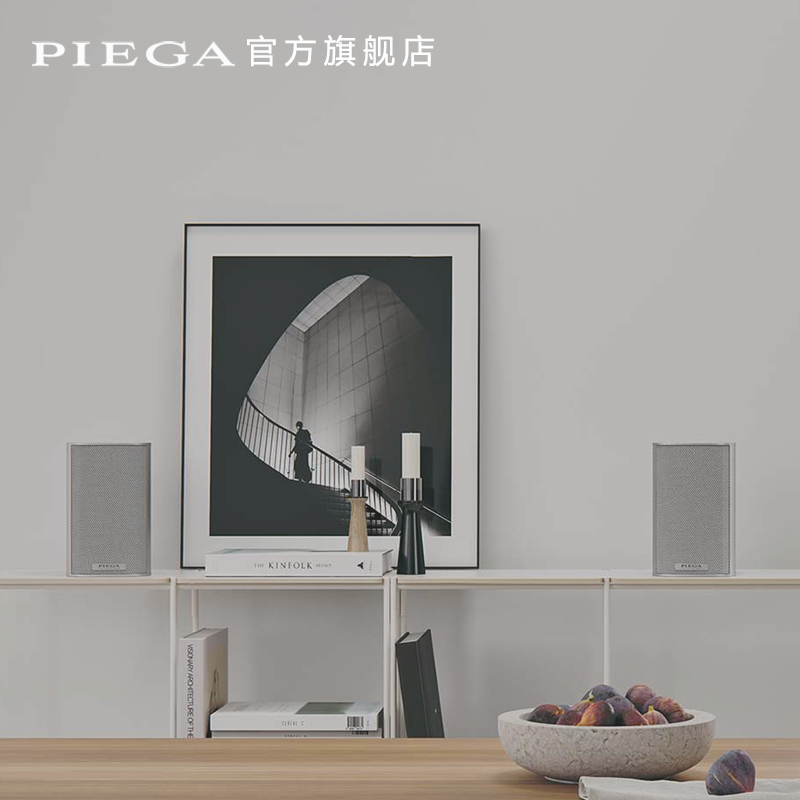 PIEGA品歌ACE 30 书架式音箱 HIFI 发烧级音响家庭影院组合铝合金 - 图3