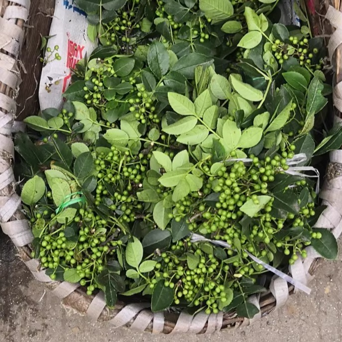 新鲜青花椒湖北宜昌农家青花椒本地土花椒新花椒生麻椒鲜青藤椒 - 图2