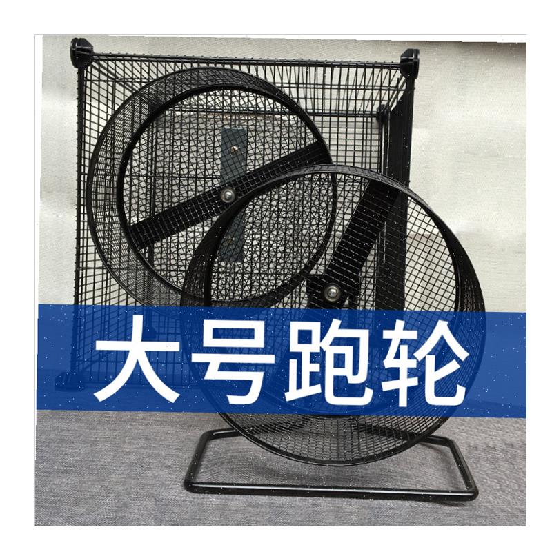 松鼠跑轮c蜜袋鼯静音磨指甲磨脚趾土拨鼠龙猫刺猬花枝大号玩具用. - 图3