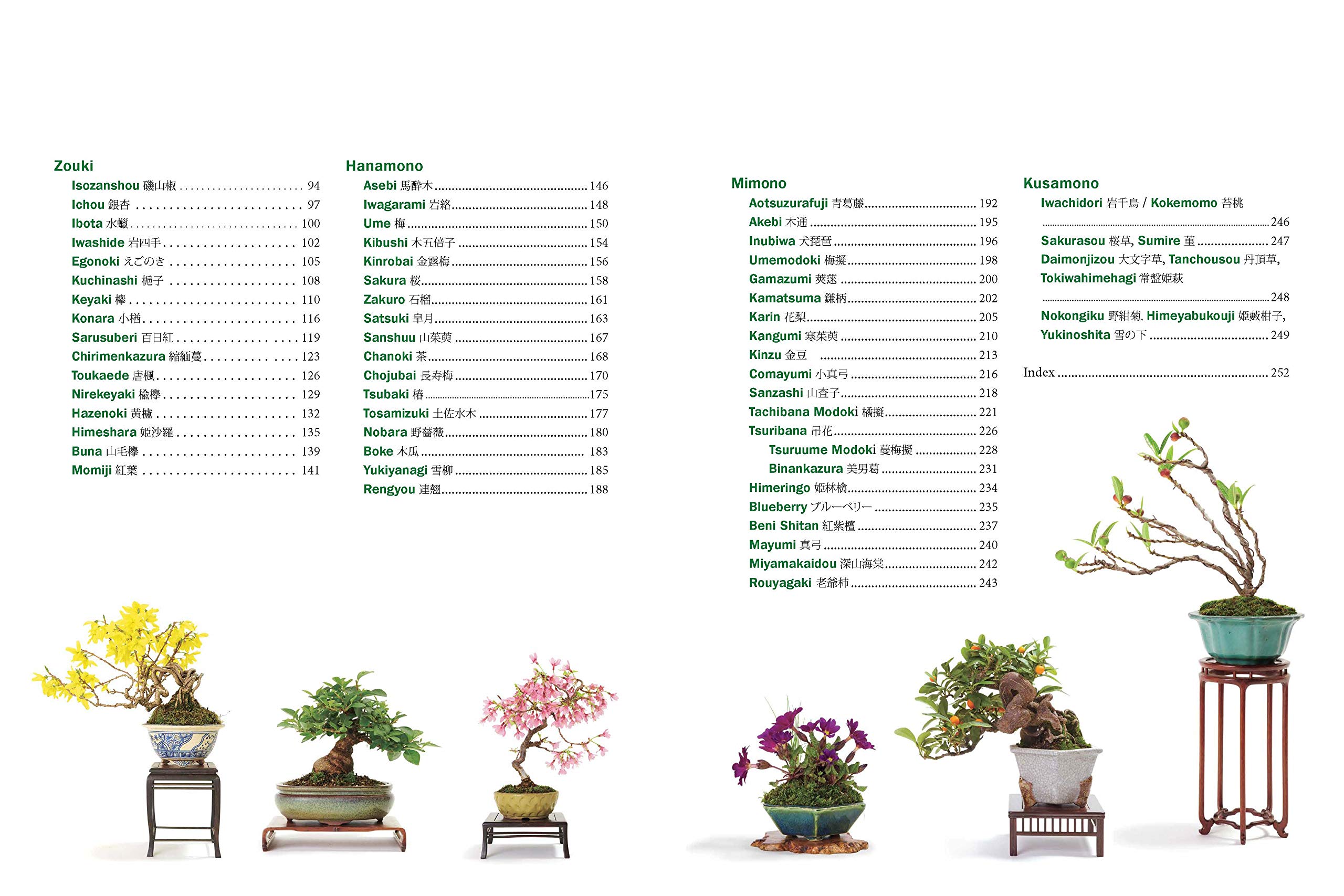 现货 英文版 The Ultimate Bonsai Handbook: The Complete Guide for Beginners 盆栽种植修剪养护指南书 広瀬幸男 Yukio Hirose - 图1