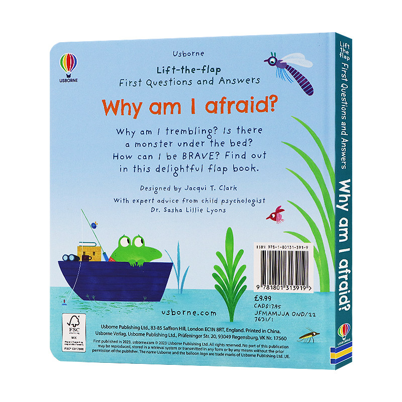 Usborne 幼儿问与答系列纸板翻翻书 Why am I afraid 我为什么恐惧害怕 英文原版绘本 儿童科普百科早教启蒙图画书 亲子共读