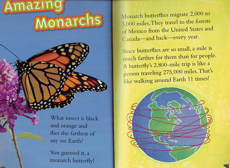 美国国家地理英文版 分级阅读3阶段 National Geographic Level3 英文原版绘本 幼儿童科普百科系列英语认知启蒙读物 国家地理低幼