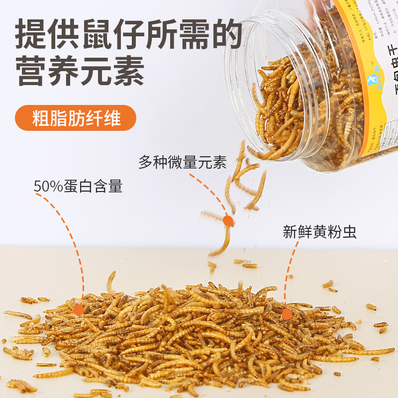 仓鼠面包虫干高蛋白黄粉虫干龟鱼八哥鸟粮仓鼠粮宠物饲料零食 - 图2