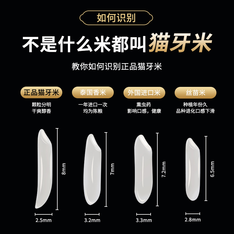 正宗泰国猫牙长粒香米年茉莉丝苗米 杨盛粮油大米