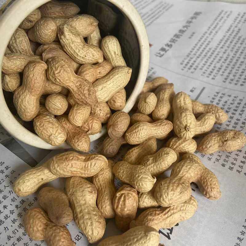 2024年农家自种柴火手工铁锅干炒熟酥脆花生现炒带壳散装小颗粒,淘宝优惠券,粉丝福利购,淘宝优惠卷