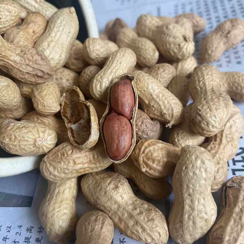 2024年农家自种柴火手工铁锅干炒熟酥脆花生现炒带壳散装小颗粒,淘宝优惠券,粉丝福利购,淘宝优惠卷