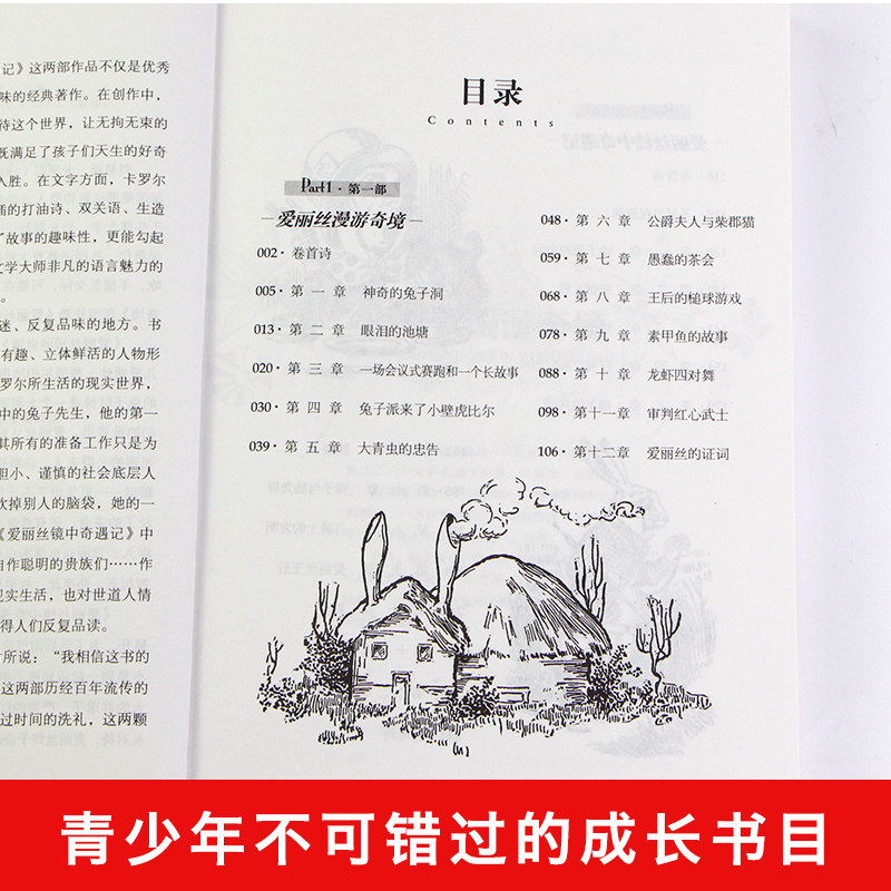 爱丽丝漫游奇境记正版卡罗尔原著北京日报出版社小学生六年级课外阅读书籍必读经典书目老师推荐文学二年级三年级爱丽丝梦游仙境-图1