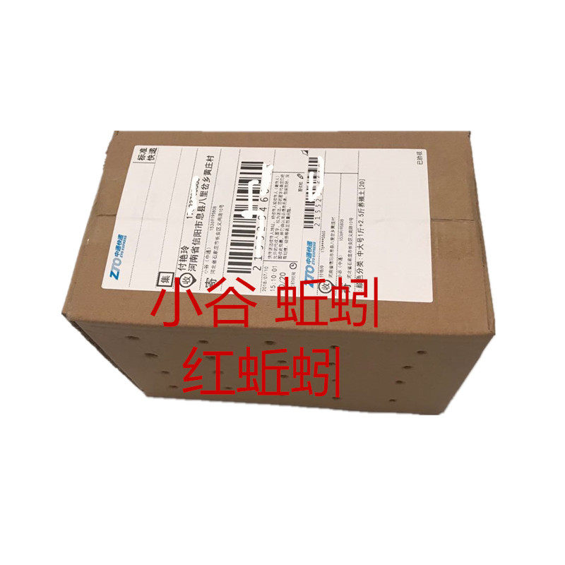 红蚯蚓蚯蚓活体钓鱼盒装蚯蚓红蚯蚓鱼饵鲫鱼野钓小药饵料散装包活,淘宝优惠券,粉丝福利购,淘宝优惠卷