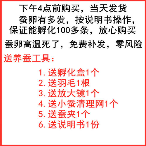 蚕宝宝蚕卵蚕种活体学生养蚕套装彩丝金丝新鲜嫩桑叶送养蚕小工具-图0