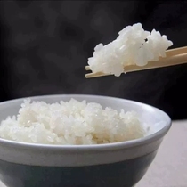 South-floor Guangdong Province upstairs 10kg Chrysanthemum Spiced Sesame Oil Sticky Rice Saucepan Rice Special Rice Sweet soft glutinous rice