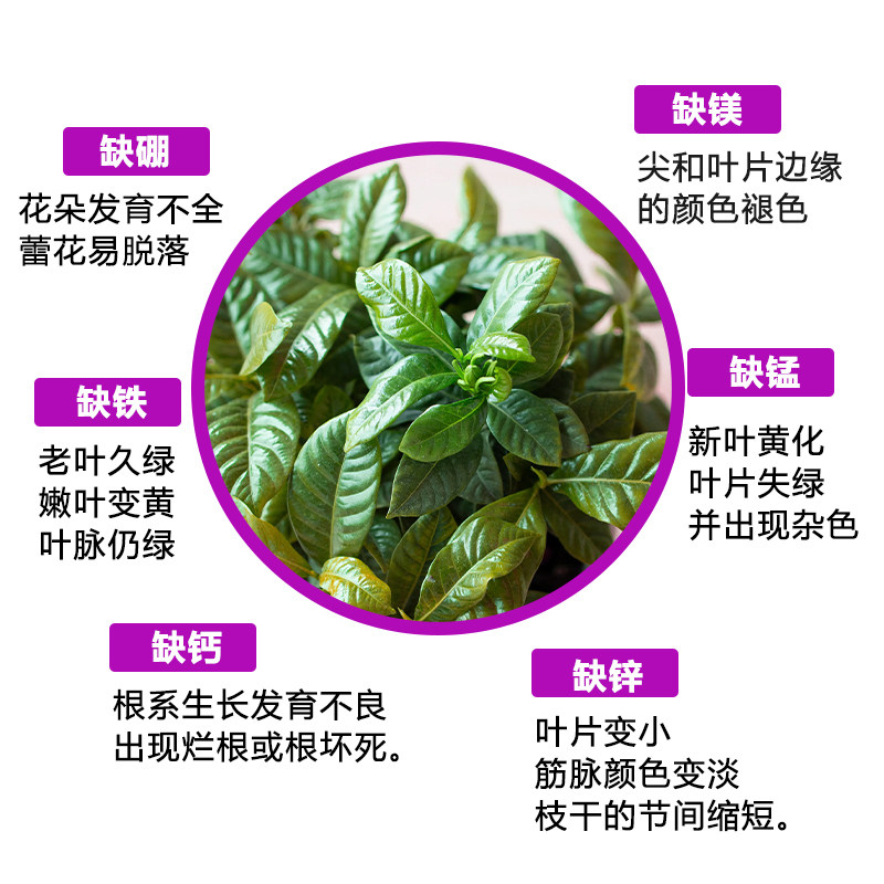 中微量元素水溶肥钙镁硫铁硼锌叶面肥果树蔬菜通用复合肥料,淘宝优惠券,粉丝福利购,淘宝优惠卷