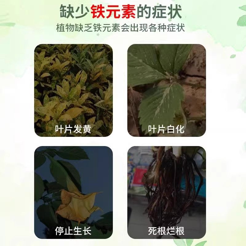 硫酸亚铁花肥料栀子花茶花杜鹃花防黄叶盆栽营养液家庭园艺肥,淘宝优惠券,粉丝福利购,淘宝优惠卷