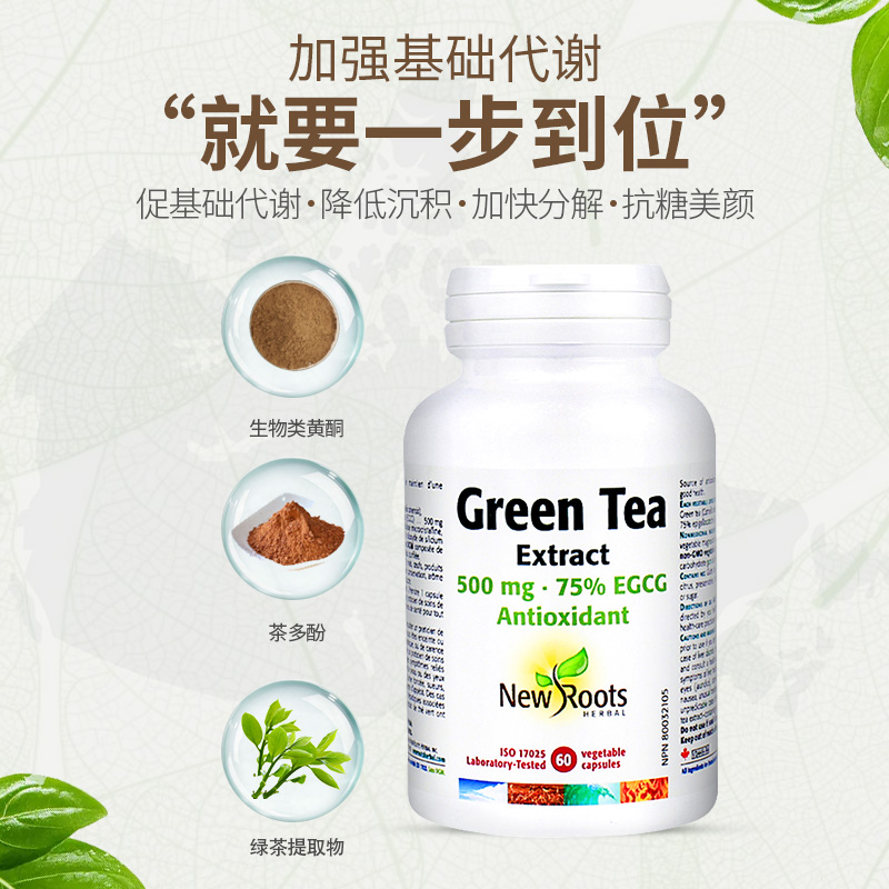 24.10临期]Newroots绿茶提取物茶多酚胶囊运动代谢egcg儿茶素60粒 - 图1