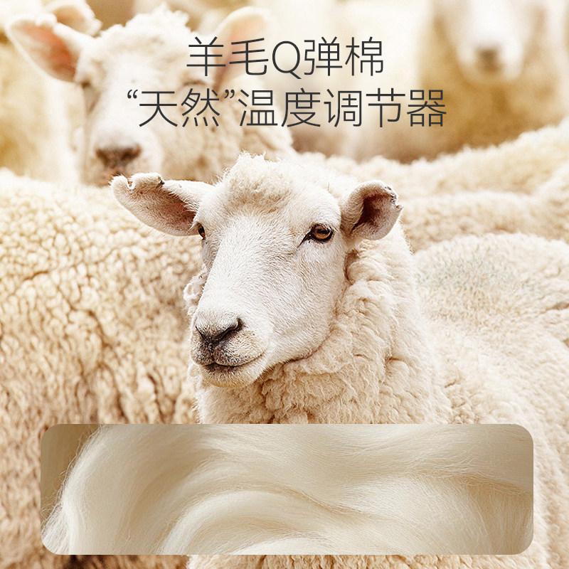 英氏乐享儿童被子绵羊毛春秋被棉被澳洲羊毛被幼儿园宝宝四季被芯,淘宝优惠券,粉丝福利购,淘宝优惠卷