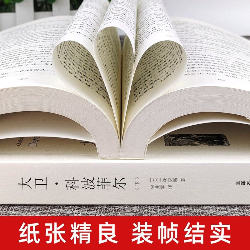 高中课外阅读书籍书目 大卫科波菲尔 复活列夫托尔斯泰 老人与海 百年孤独正版原著 高一高中生语文课外书世界名著 - 图3