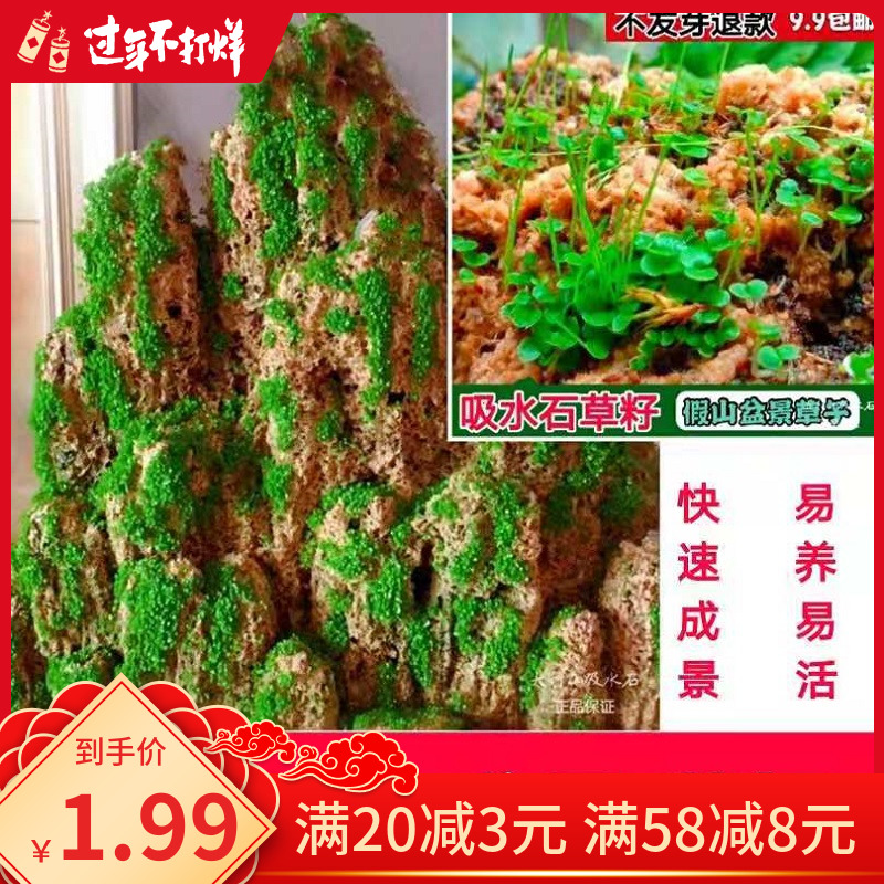 吸水石植物上水石假山盆景草籽铺面绿水草子种青苔藓孢子粉微景观 - 图0