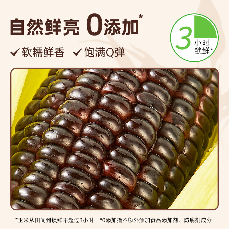 北纬47度黑糯玉米东北新鲜玉米真空包装糯玉米粗粮营养早餐