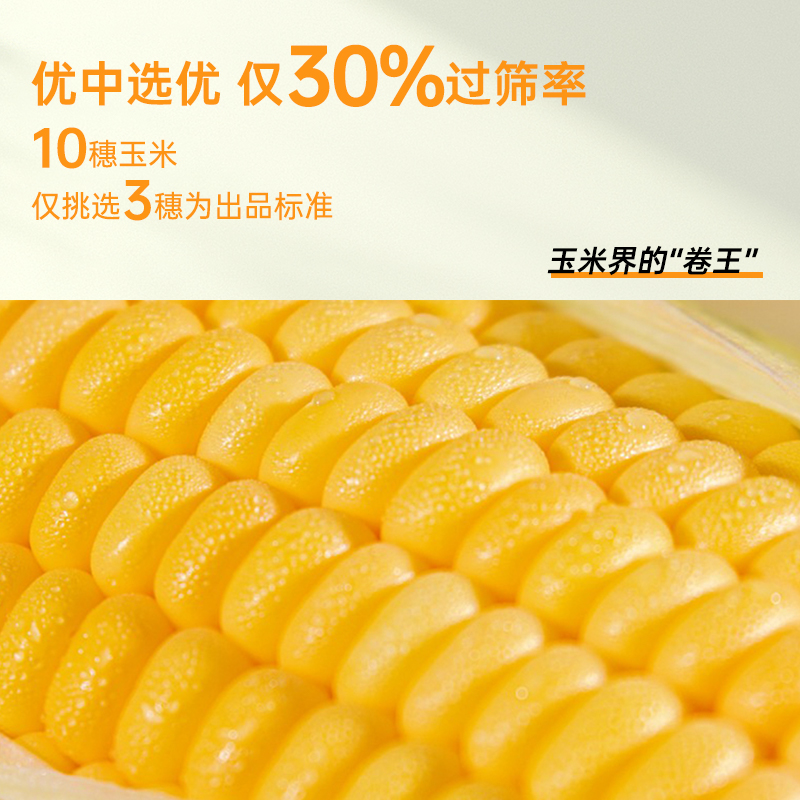 北纬47度黄糯鲜食玉米200g*6穗鲜香糯甜糯黑龙江2022年新季玉米