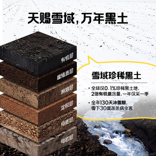 北纬47度新鲜采摘黄糯白糯鲜甜玉米东北软糯玉米真空装官方旗舰店 - 图2