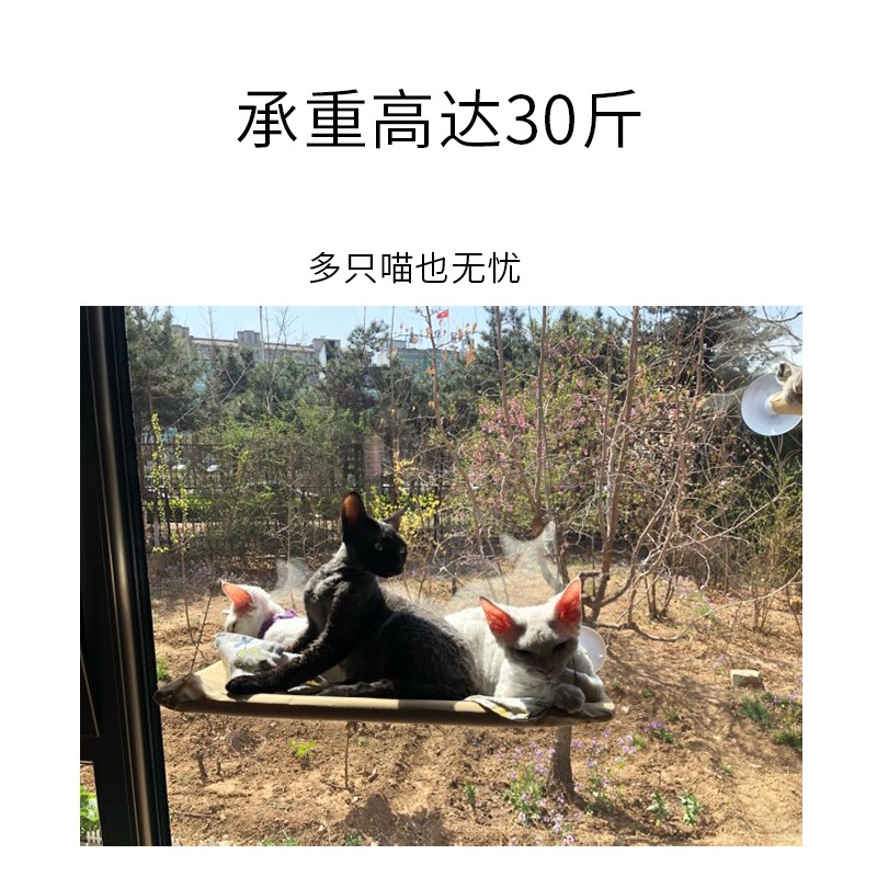 猫吊床吸盘式挂床猫窝夏天晒太阳猫咪吊床窗猫秋千猫咪用品-图1