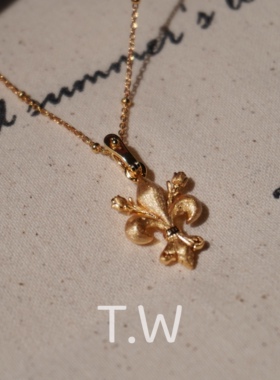 T.W新款欧美个性百搭925银镀22K金高级感明星网红鸢尾花拉丝项链