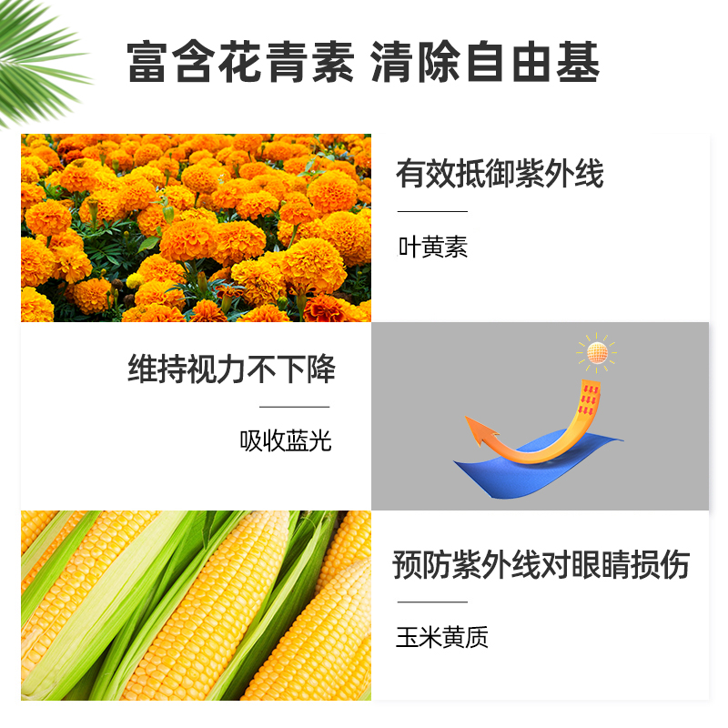 【自营】美国朴诺蓝莓叶黄素组合配方青少年成人高含量易吸收护眼