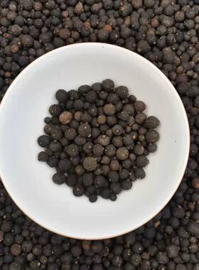 四川青皮子茶内江红橘陈老师推荐70年老树红橘小柑胎手串自家陈皮